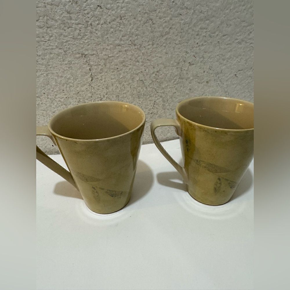 Pier one Antiqued mugs set of two